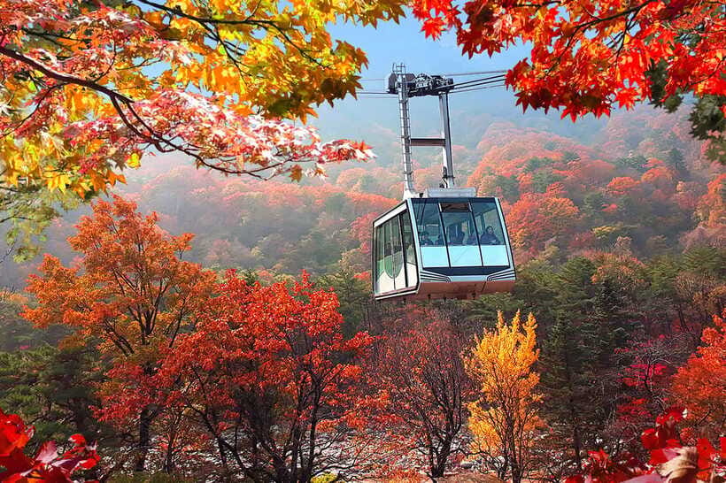 Seoul: Mt.Seorak(+CableCar Option)+Sokcho Fish Market&Beach - Who should choose this Seoraksan and Sokcho day?