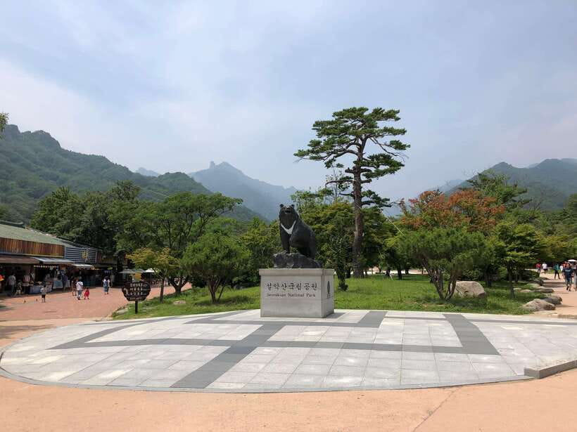 Seoul: Mt.Seorak(+CableCar Option)+Sokcho Fish Market&Beach - Five hours among Seoraksan’s forests and peaks