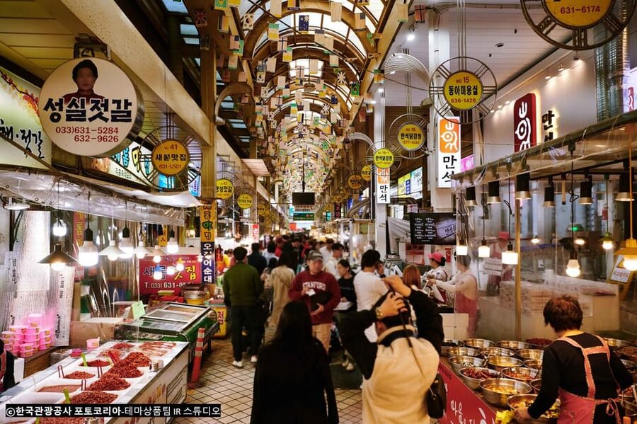 Seoul: Mt.Seorak(+CableCar Option)+Sokcho Fish Market&Beach - The optional Seoraksan cable car