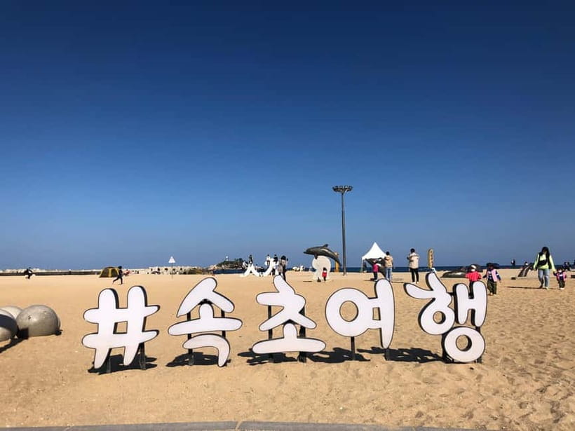 Seoul: Mt.Seorak(+CableCar Option)+Sokcho Fish Market&Beach - Sokcho Fishery Market, 75 minutes of local flavor