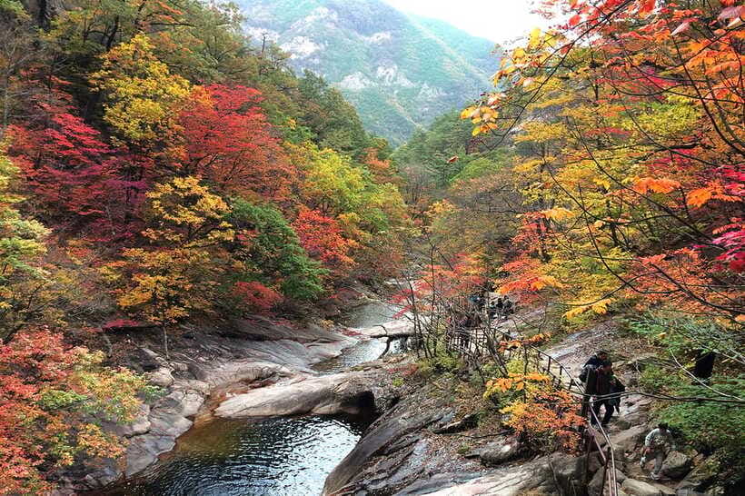 Seoul: Mt.Seorak(+CableCar Option)+Sokcho Fish Market&Beach - What the $68 price really covers