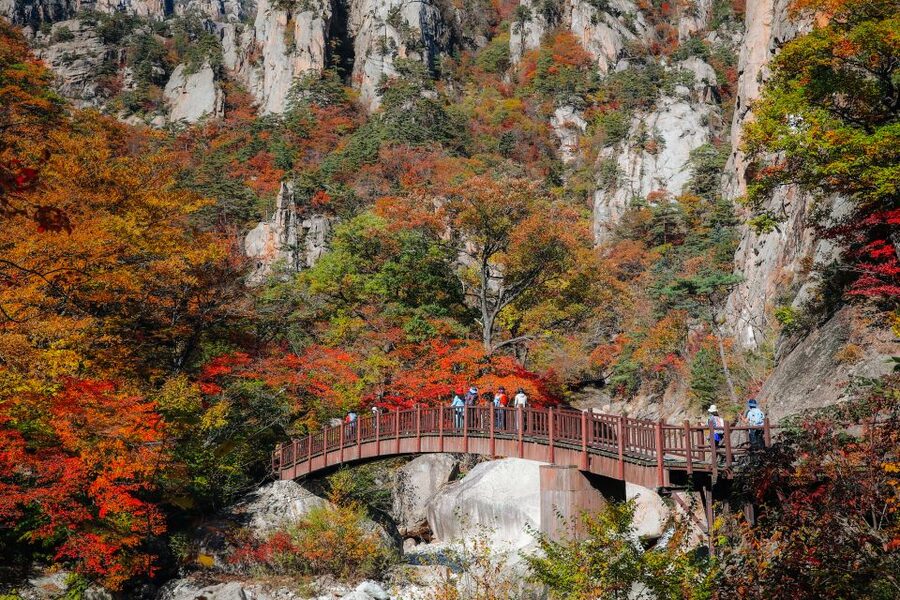 Seoul: Mt Seorak + Naksansa Temple or Nami Island Group Tour - Why Mt Seorak makes this a worthwhile day trip
