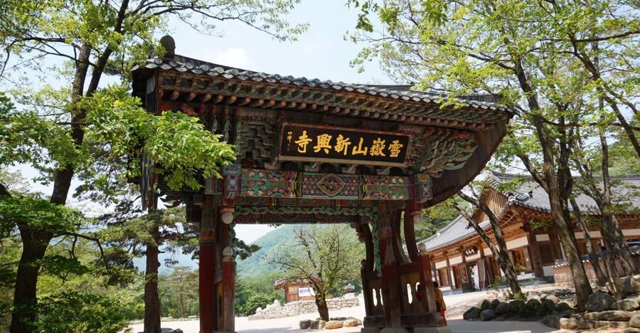 Seoul: Mt Seorak + Naksansa Temple or Nami Island Group Tour - Who should book this day trip