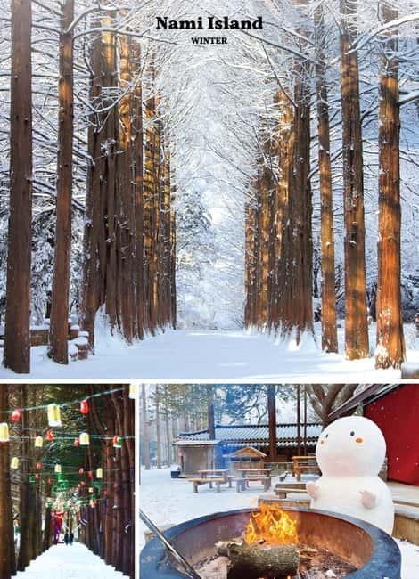 Seoul: Mt. Seorak & Nami Island & Eobi Ice Valley Day Tour - From Seoul streets to Seoraksan’s mountain air