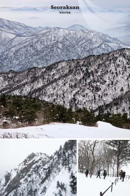 Seoul: Mt. Seorak & Nami Island & Eobi Ice Valley Day Tour - Eobi Ice Valley and the limits of the winter display