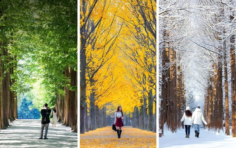 Seoul: Mt. Seorak & Nami Island & Eobi Ice Valley Day Tour - FAQ