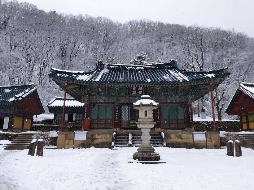 Seoul: Mt.Seorak, Nami Island & Korean Garden, No Shopping - Key points to know before booking