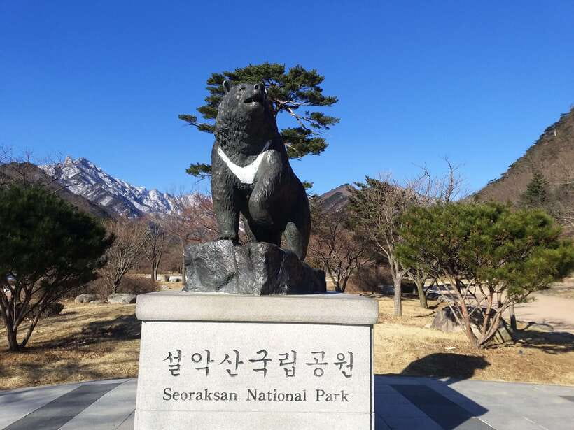 Seoul: Mt.Seorak, Nami Island & Korean Garden, No Shopping - Why this three-stop day works from Seoul