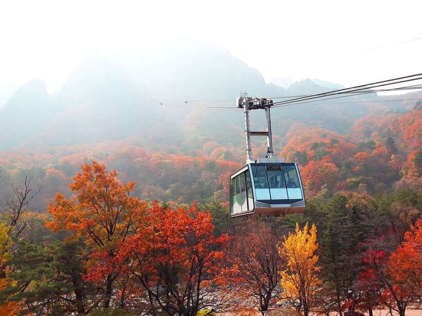 Seoul: Mt.Seorak, Nami Island & Korean Garden, No Shopping - The lunch break and the value of a good guide