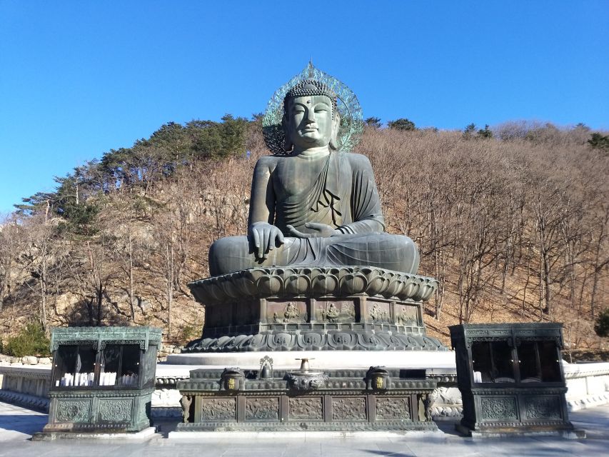 Seoul: Mt.Seorak, Nami Island & Korean Garden, No Shopping - Who should book this tour