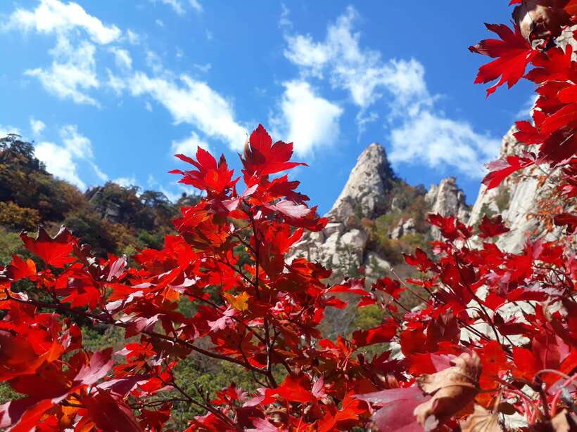 Seoul: Mt.Seorak, Nami Island & Korean Garden, No Shopping - Seoraksan: the strongest part of the morning