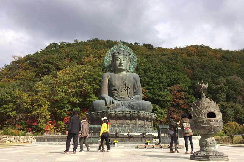 Seoul: Mt.Seorak, Nami Island, No Shopping(+RailBike Option) - Why this long day works