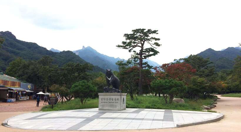 Seoul: Mt.Seorak, Nami Island, No Shopping(+RailBike Option) - Walking among the rocks at Mt. Seorak