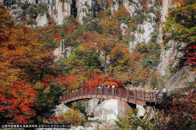 Seoul: Mt.Seorak, Nami Island, No Shopping(+RailBike Option) - Meeting in Myeongdong or Hongdae