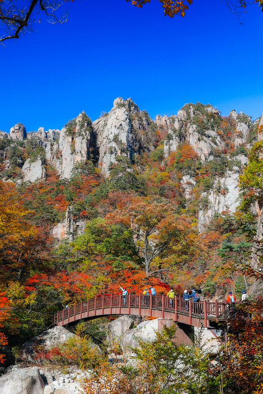 Seoul: Mt. Seoraksan National Park Autumn Foliage Day Tour - Key points before you reserve