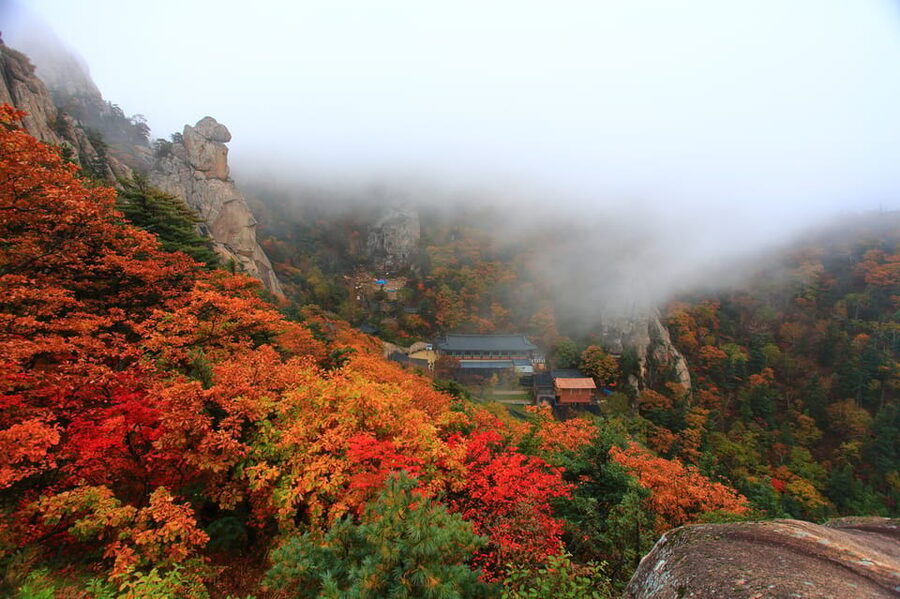 Seoul: Mt. Seoraksan National Park Autumn Foliage Day Tour - Temples, restaurants, and slower moments