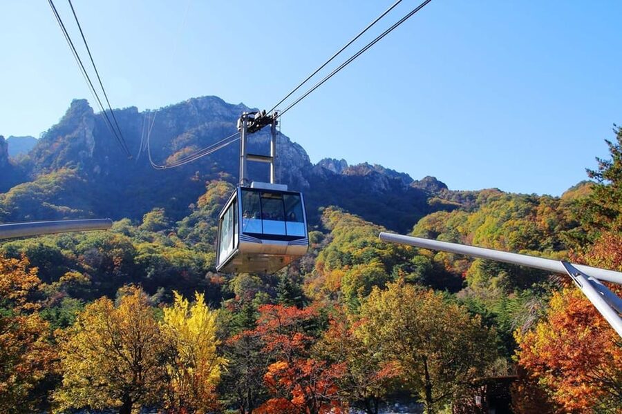 Seoul: Mt. Seoraksan National Park Autumn Foliage Day Tour - Choosing between an easy walk and Ulsanbawi