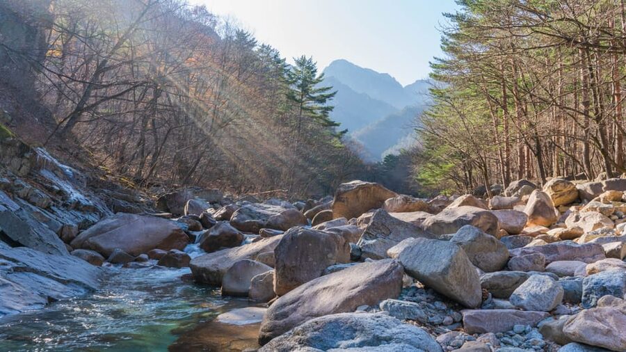 Seoul: Mt. Seoraksan National Park Autumn Foliage Day Tour - Autumn weather can make or break the views