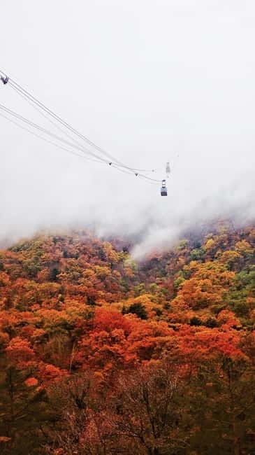 Seoul: Mt. Seoraksan National Park Autumn Foliage Day Tour - What the $60 price really covers