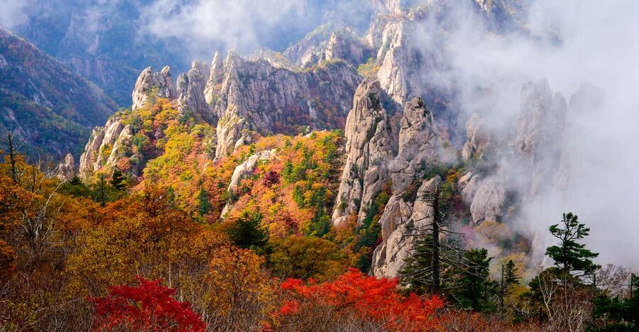 Seoul: Mt. Seoraksan National Park Autumn Foliage Day Tour - The early ride out of Seoul