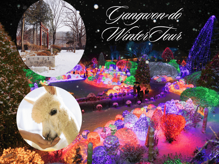Seoul: Nami and K-Garden with Optional Alpaca Winter Tour - Choosing Petite France or Italian Village
