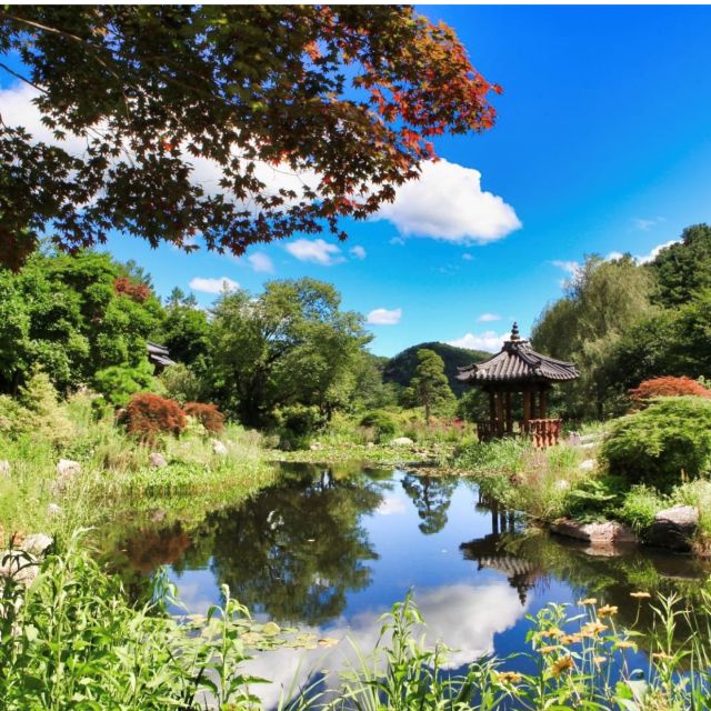 Seoul: Nami and Petite France Tour with Optional K-Garden - Who should book this outing?