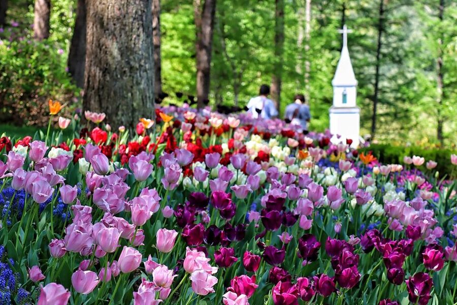 Seoul: Nami and Petite France Tour with Optional K-Garden - Pinocchio and Da Vinci in Italian Village