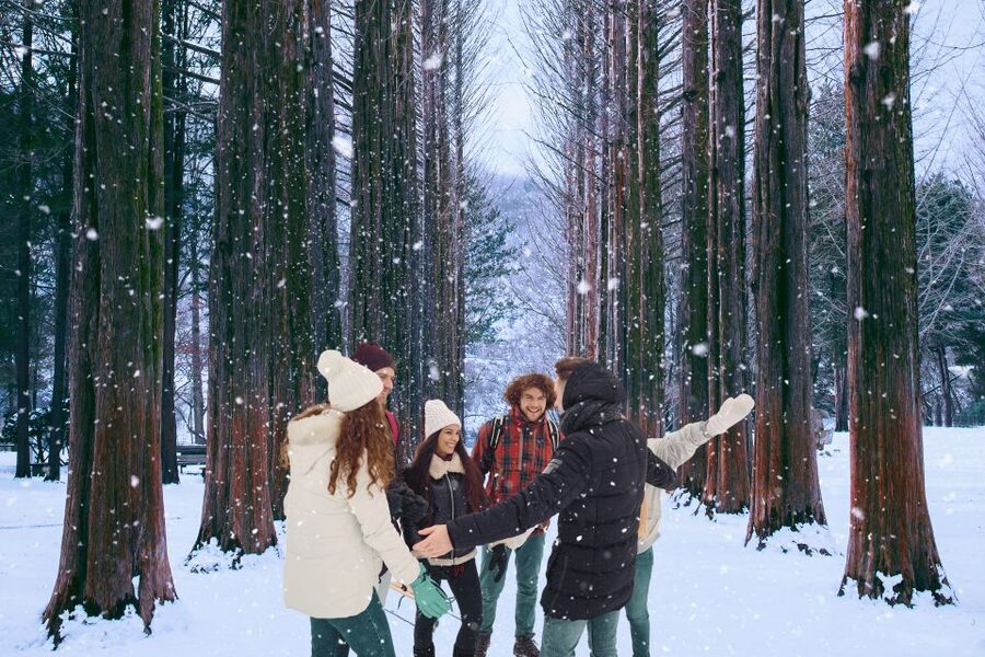Seoul: Nami and Petite France Tour with Optional K-Garden - Lunch is simple, social, and not included