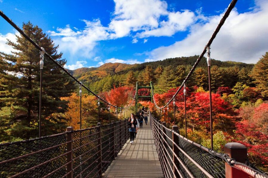 Seoul: Nami and Petite France Tour with Optional K-Garden - Is $50 good value for a full day?
