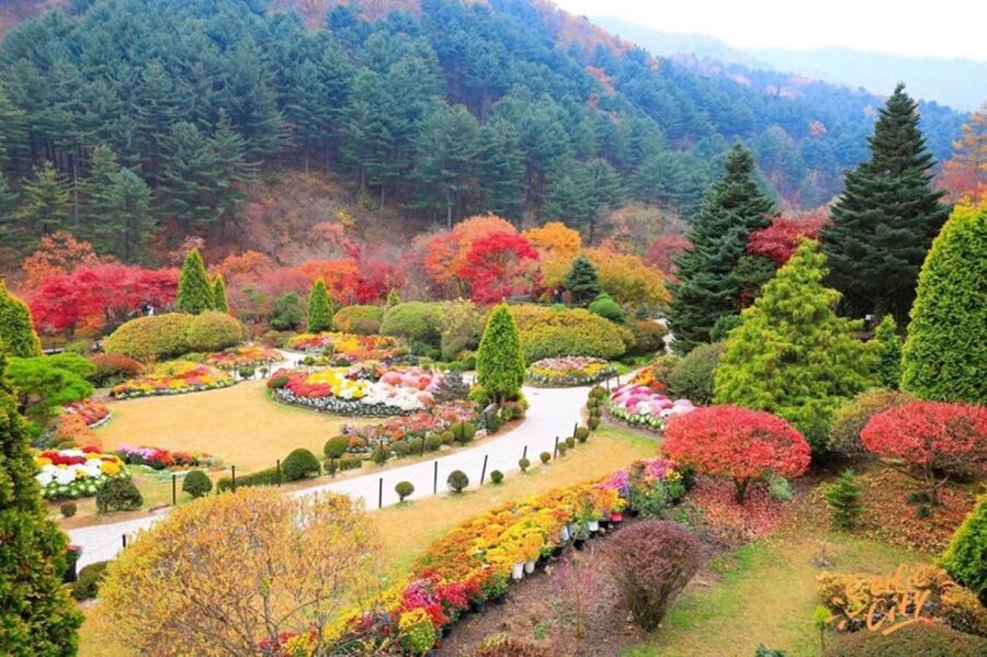 Seoul: Nami and Petite France Tour with Optional K-Garden - The ferry crossing and practical movement