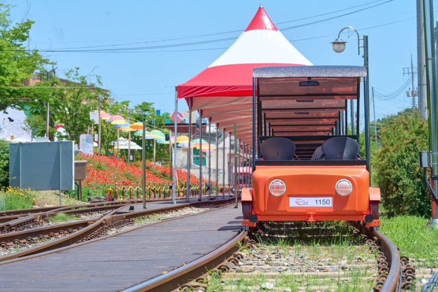 Seoul: Nami Island and Garden of Morning Calm opt Railbike - Who will enjoy this most