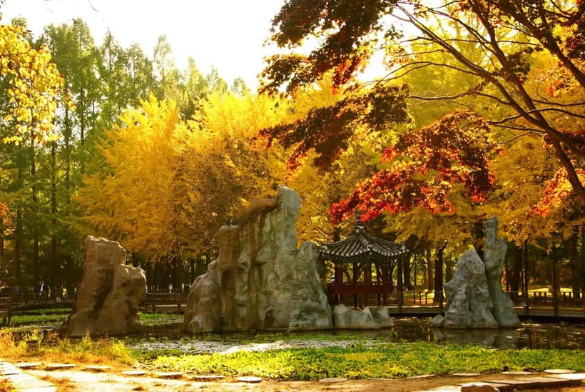 Seoul: Nami Island and Garden of Morning Calm opt Railbike - What the $51 price really buys you