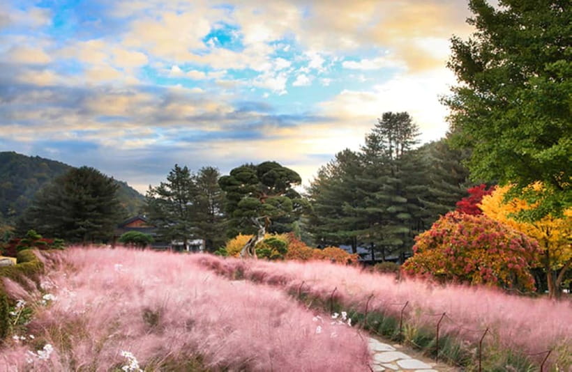 Seoul: Nami Island and Garden of Morning Calm opt Railbike - The guide can make or break a big day