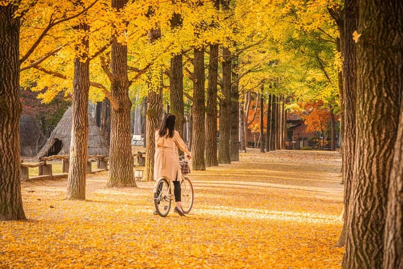 Seoul: Nami Island, Garden and Petite France (opt. Railbike) - Nami Island: the day’s main event