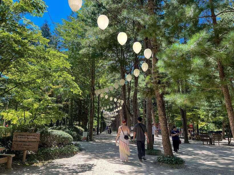 Seoul: Nami Island & Petite France Tour with Railbike Option - Why this Gangwon day trip works from Seoul