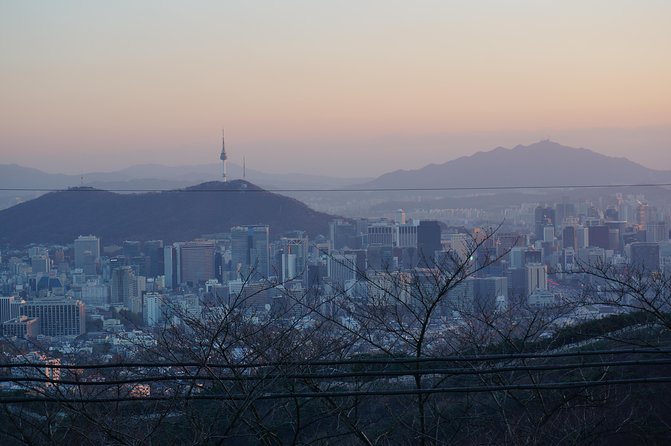Seoul Night "Private Tour"(Korean BBQ, N-Tower, Seoul Fortress, Local Market) - N Seoul Tower and the Namsan views