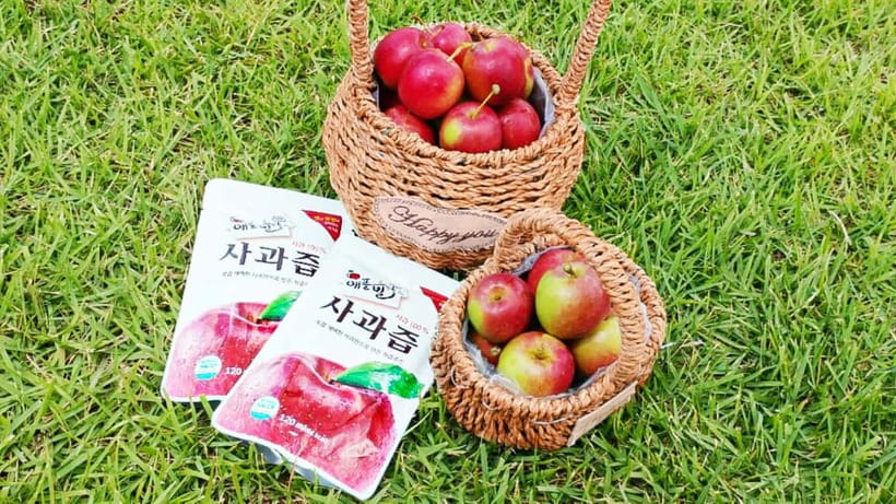 Seoul: Pocheon Art Valley, Garden and Fruit Picking Day Tour - Why this day trip works beyond Seoul