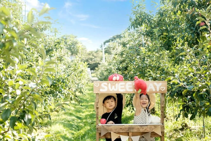 Seoul: Pocheon Art Valley, Garden and Fruit Picking Day Tour - Guides can shape the long hours on the road