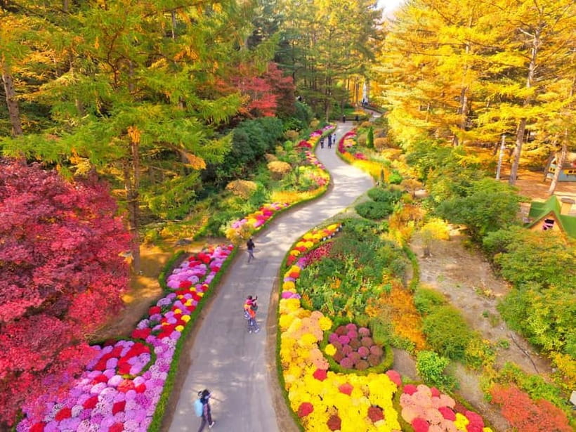 Seoul: Pocheon Art Valley, Garden and Fruit Picking Day Tour - Should you book this Pocheon day trip?