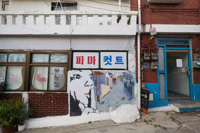Seoul: Private Car Tour with Licensed Professional Guide - Practical planning tips before you book