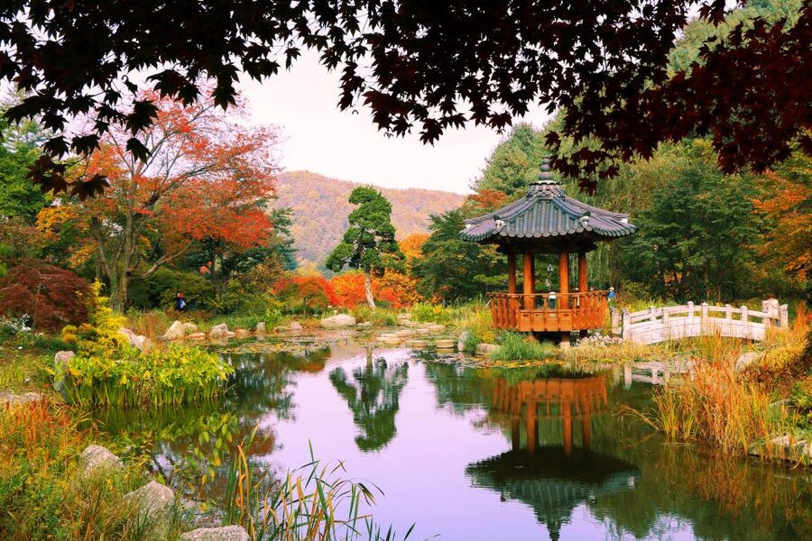 Seoul: Private Customizable Tour to Nami Island and More - How the custom format works in real life