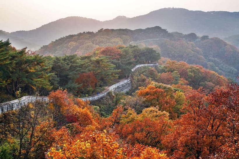 Seoul: Royal Tomb of King Sejong & Icheon Ceramic (EG Tour) - Key points at a glance