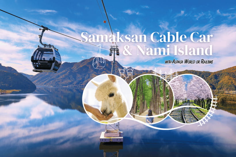 Seoul: Samaksan Cable Car & Nami with Alpaca World/Railbike - Alpaca World: the family-friendly choice