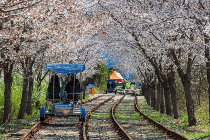 Seoul: Samaksan Cable Car & Nami with Alpaca World/Railbike - Lunch is the tour’s weak point