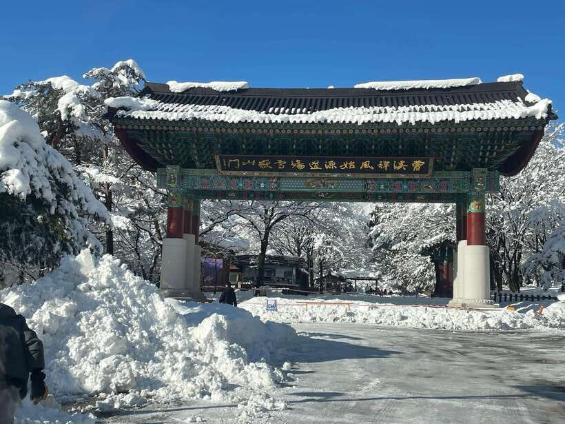 Seoul: Seorak Mountain, East DMZ, and Sokcho Tour - The guides can shape the quality of the day