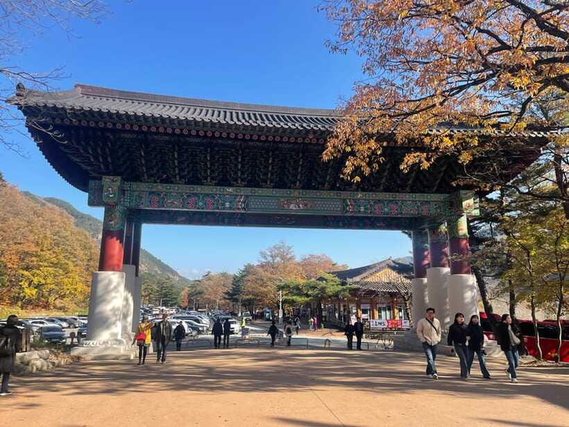 Seoul: Seorak Mountain, East DMZ, and Sokcho Tour - Who will enjoy this day most