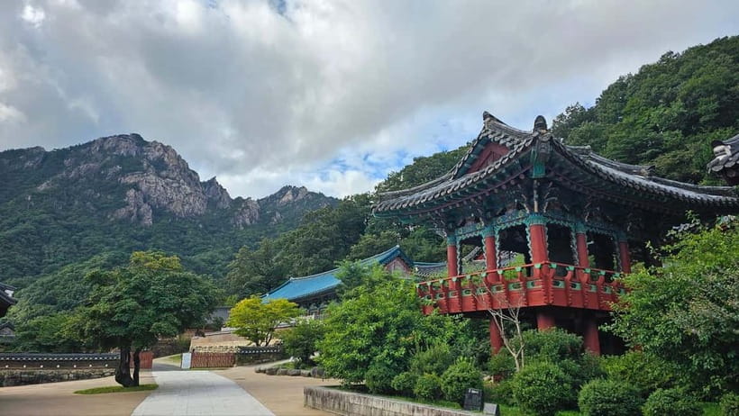 Seoul: Seorak Mountain, East DMZ, and Sokcho Tour - Practical details before you reserve