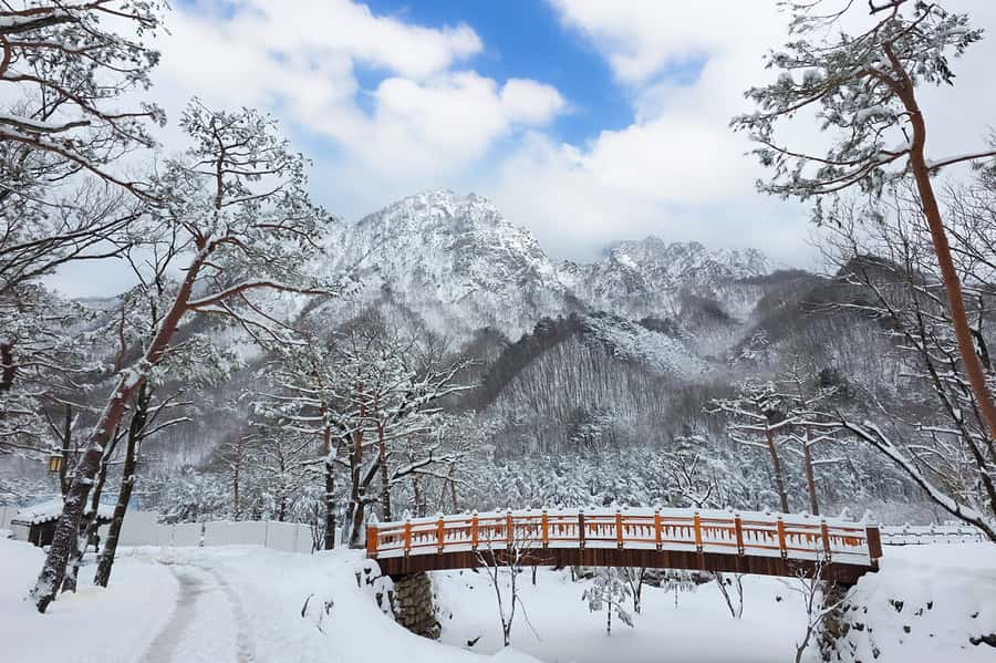 Seoul: Seorak Mountain+Nami Island+Eobi Ice Valley Tour - Key points at a glance