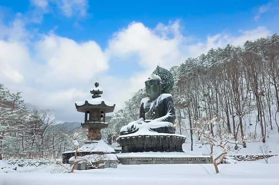 Seoul: Seorak Mountain+Nami Island+Eobi Ice Valley Tour - Nami Island, snowy paths and photo stops