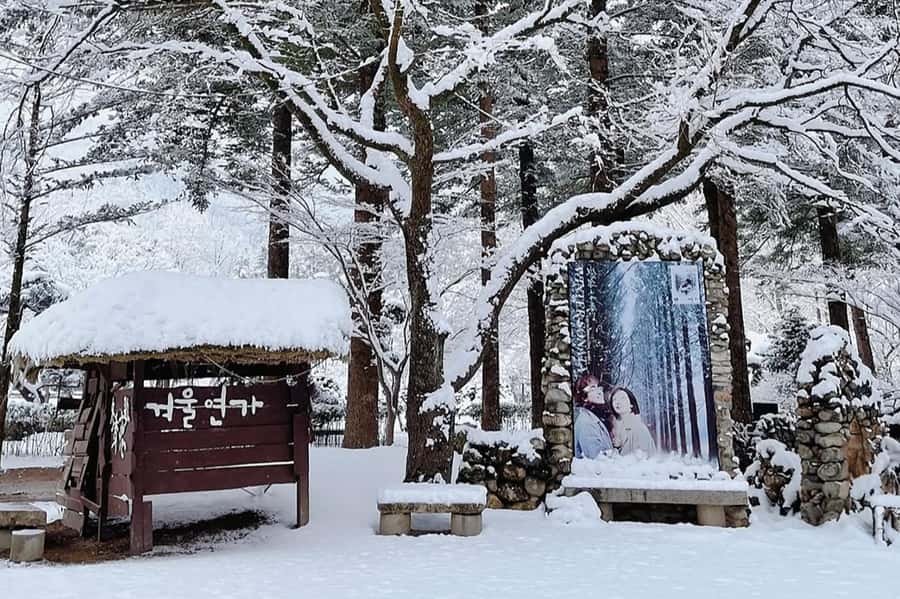 Seoul: Seorak Mountain+Nami Island+Eobi Ice Valley Tour - Eobi Ice Valley, the day’s most striking winter image